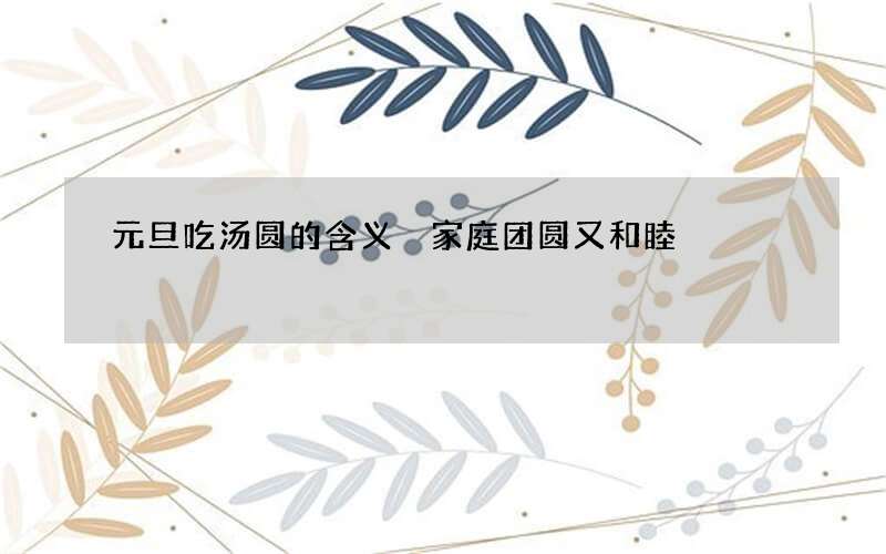 元旦吃汤圆的含义 家庭团圆又和睦